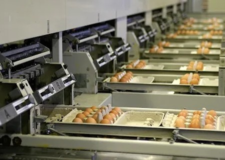 https://shp.aradbranding.com/قیمت خرید دستگاه سورتینگ تخم مرغ مشهد عمده به صرفه و ارزان